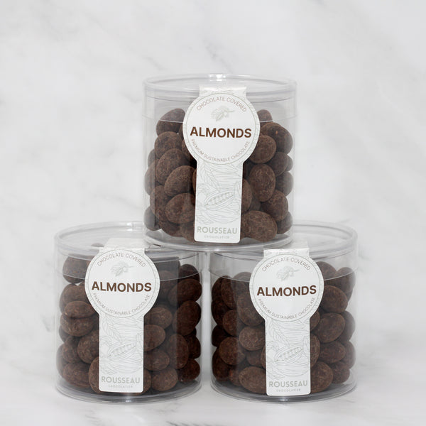 Chocolate Covered Almonds