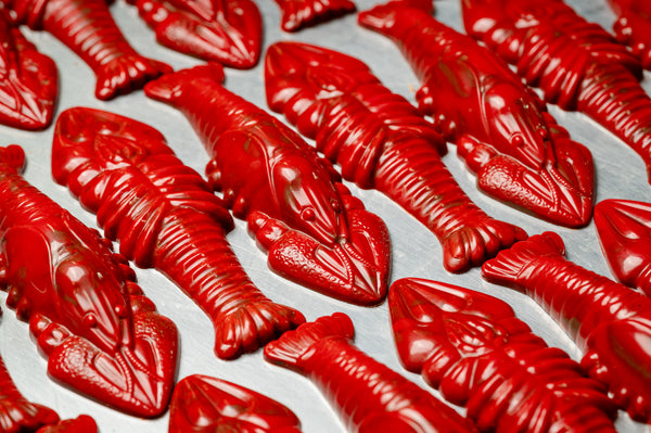 Large Red Lobster